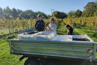 Kilde: holmegaardwine.dk