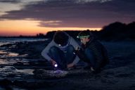 Kilde: darkskyparkmoen.dk