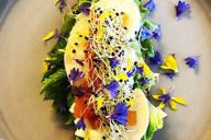 Kilde: restaurantoe.com