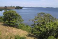Kilde: visitlolland-falster.dk
