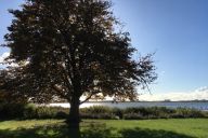 Kilde: silderuten.dk